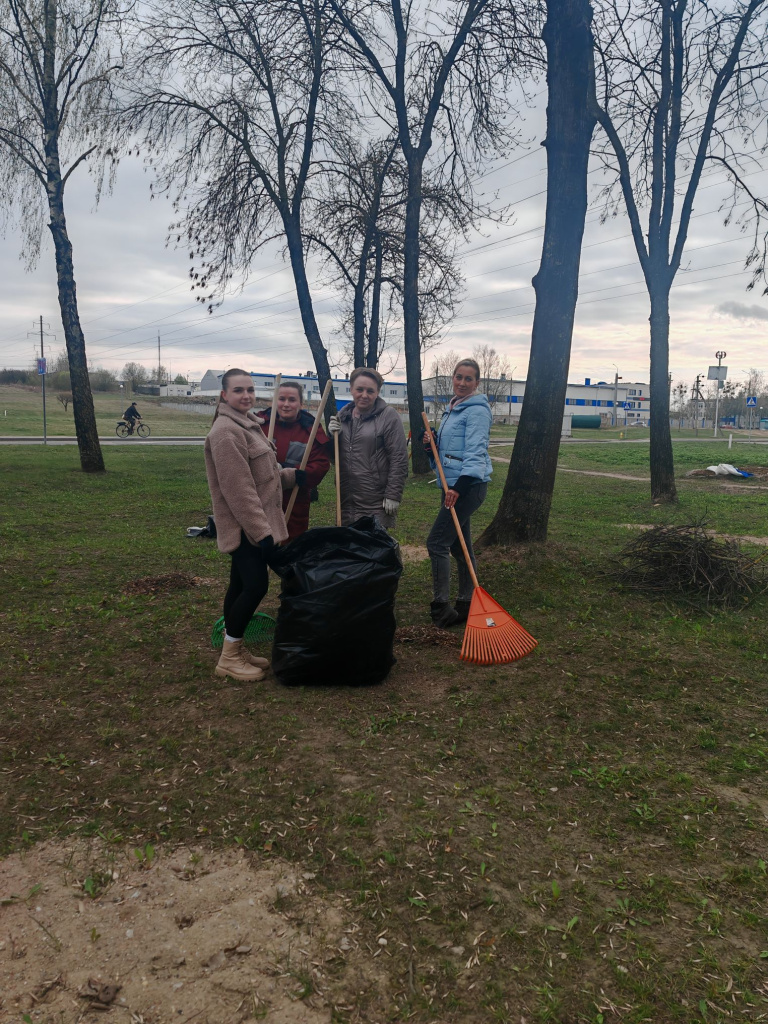Городской субботник (9).JPG