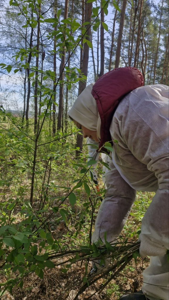 субботник коробчицы (5).JPG